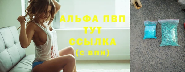 мдпв Верея
