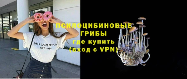 мдпв Верея