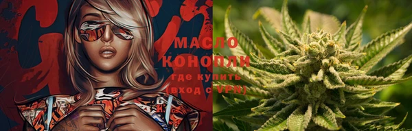 мдпв Верея