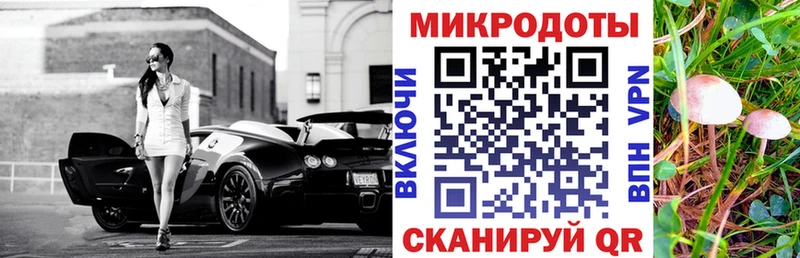Купить где Мамадыш Псилоцибиновые грибы Psilocybe
